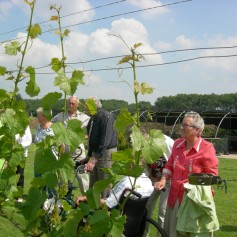 kijk-naar-fruit.jpg